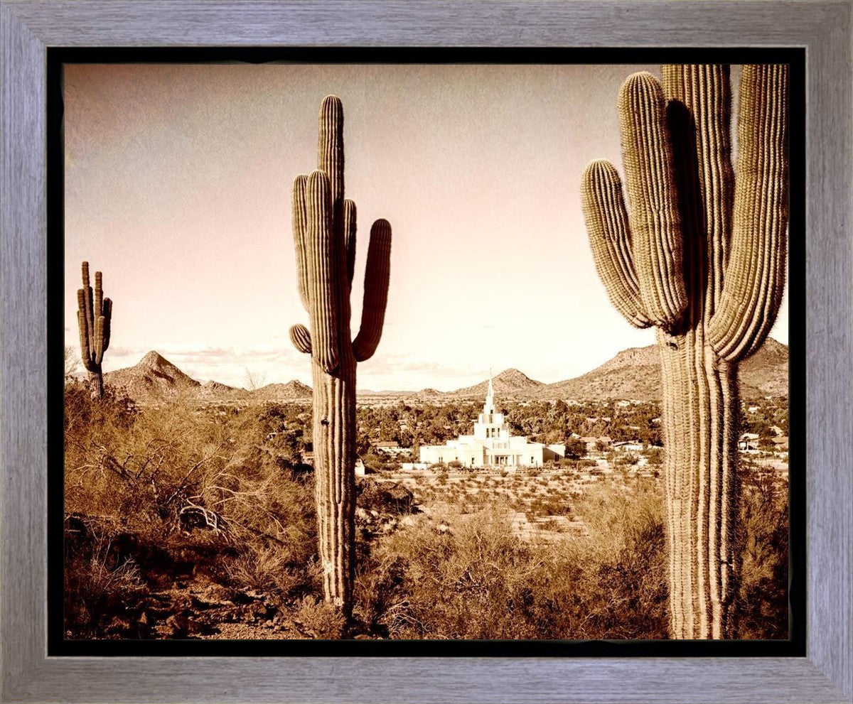 Phoenix Saguaro Cactus Gallery Wrap