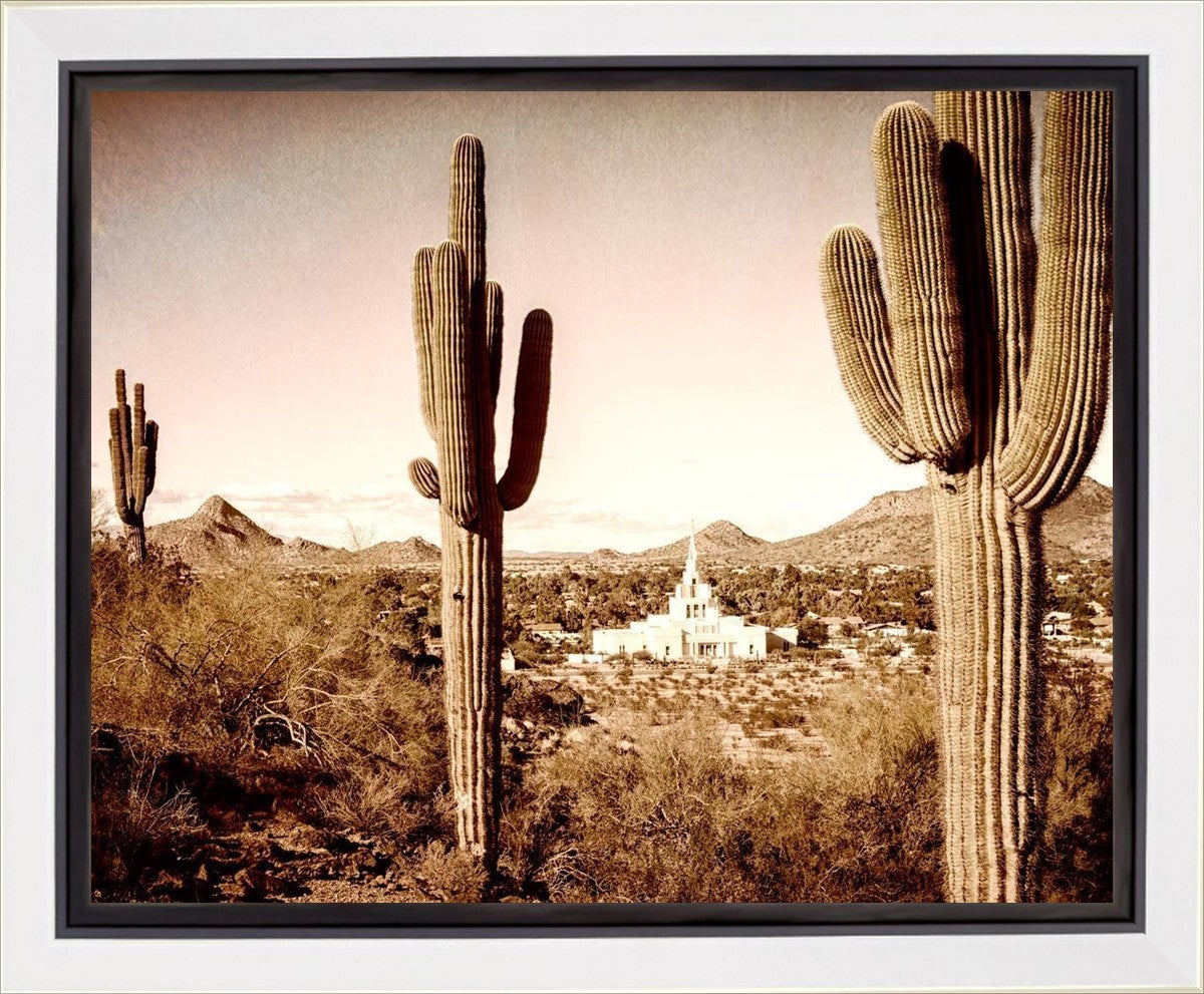Phoenix Saguaro Cactus Gallery Wrap