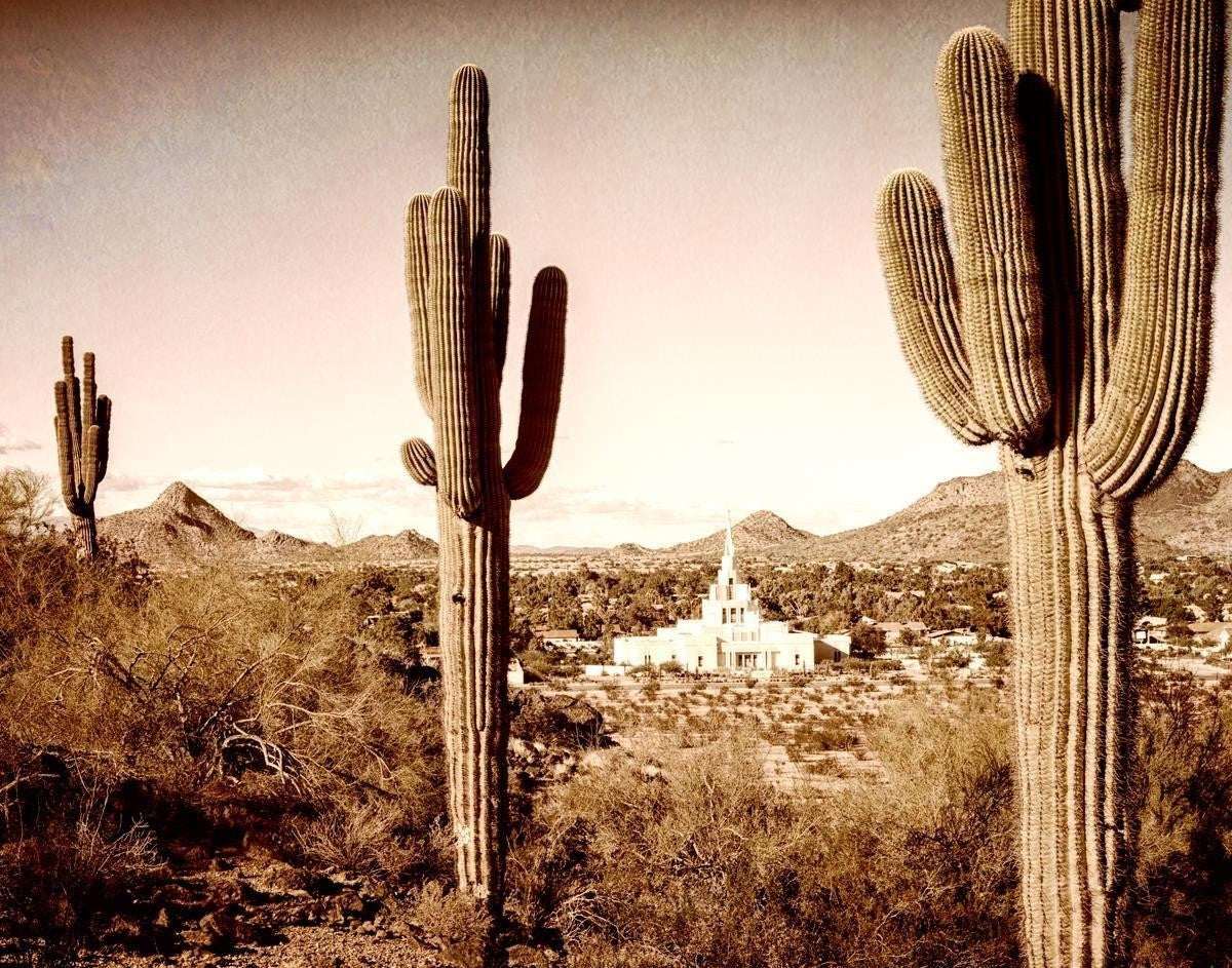 Phoenix Saguaro Cactus Gallery Wrap