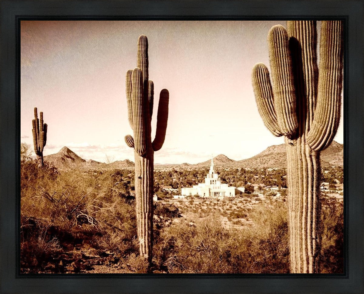 Phoenix Saguaro Cactus Gallery Wrap
