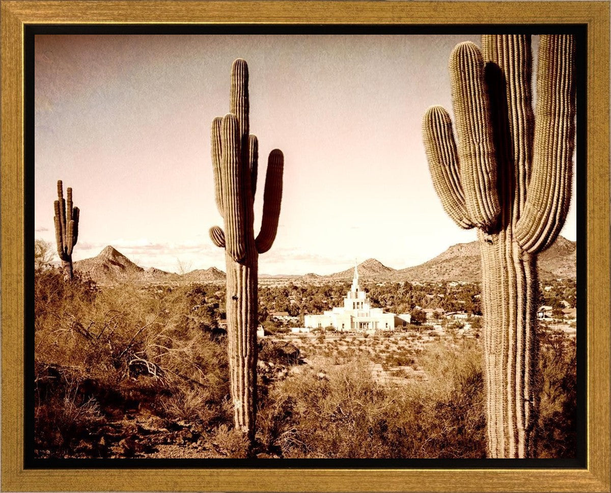 Phoenix Saguaro Cactus Gallery Wrap