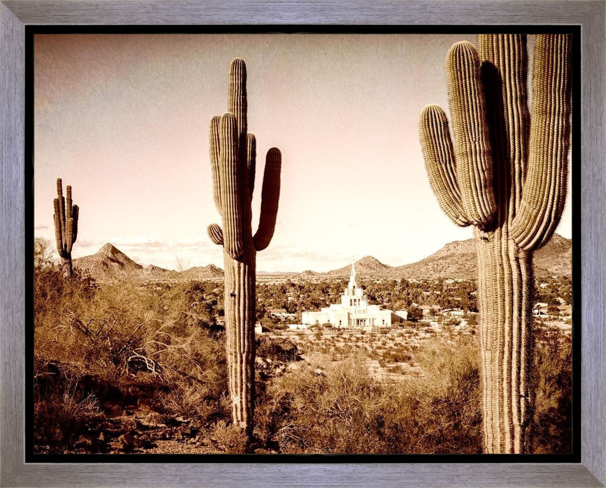 Phoenix Saguaro Cactus Gallery Wrap