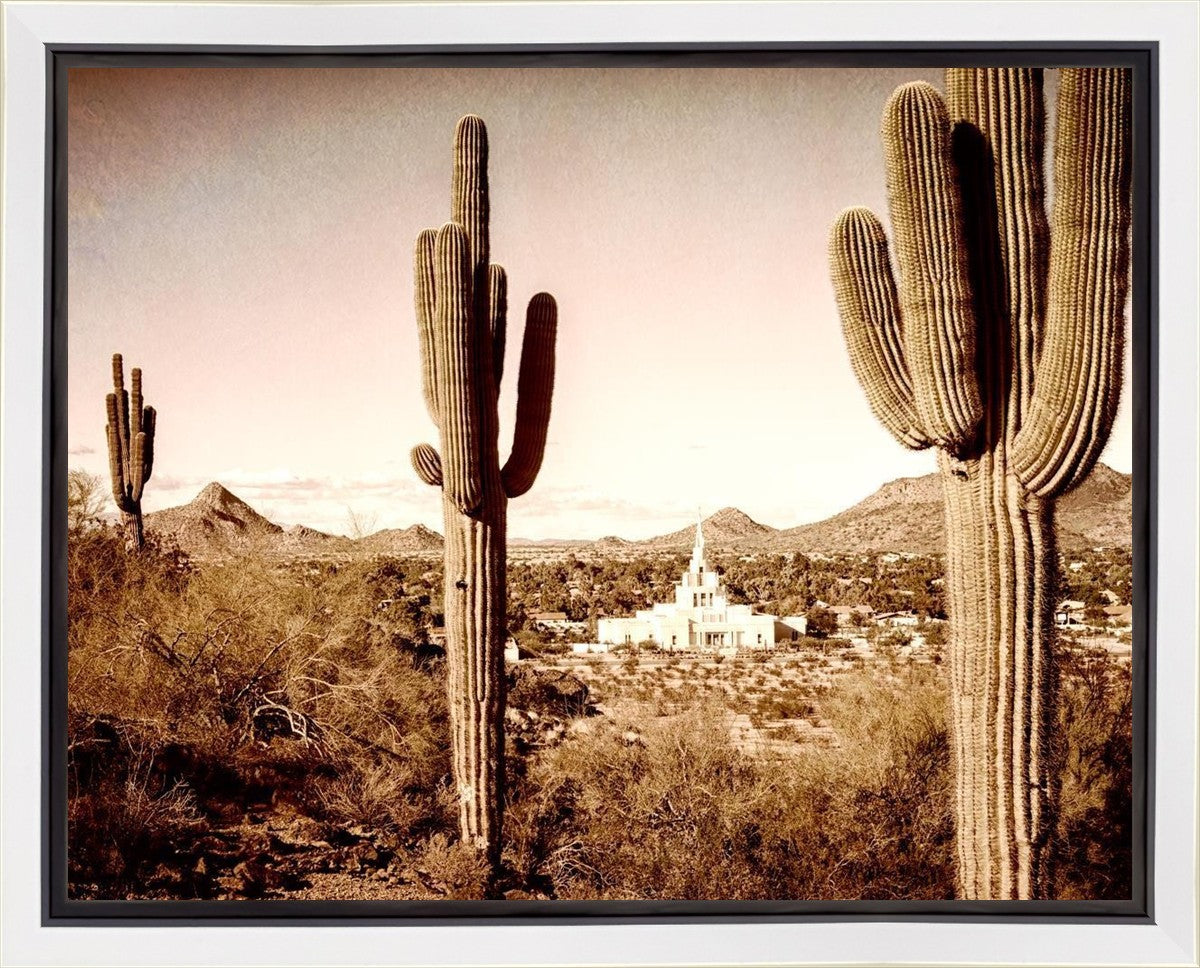 Phoenix Saguaro Cactus Gallery Wrap