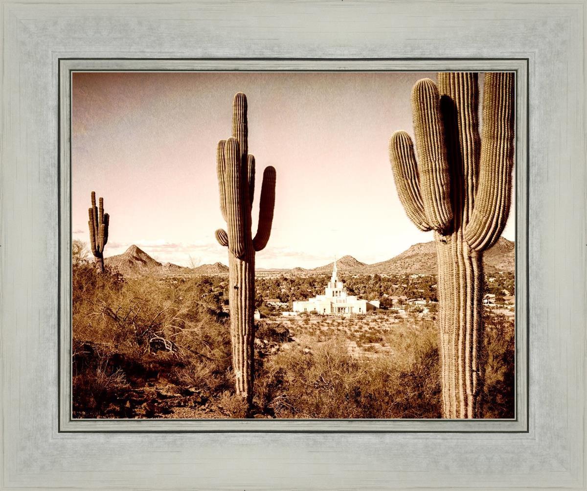 Phoenix Saguaro Cactus