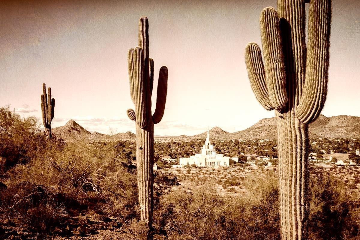 Phoenix Saguaro Cactus Gallery Wrap