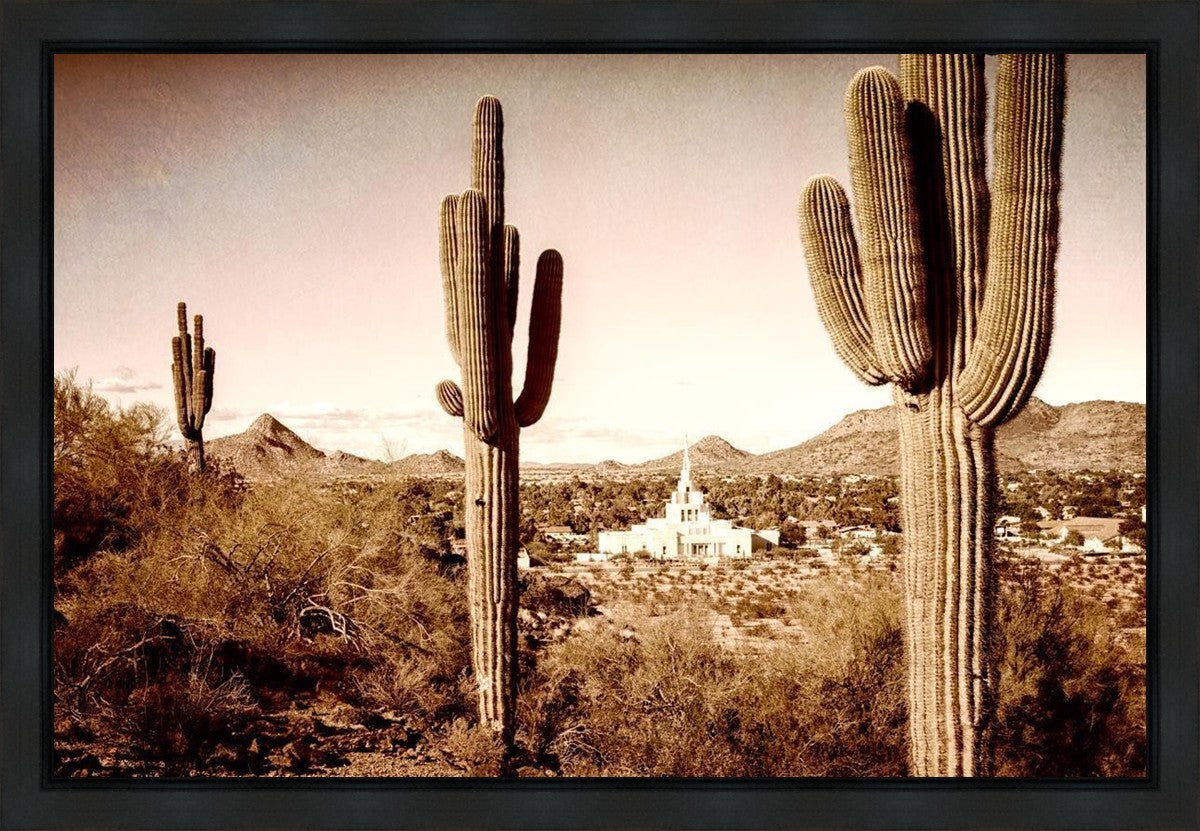 Phoenix Saguaro Cactus Gallery Wrap