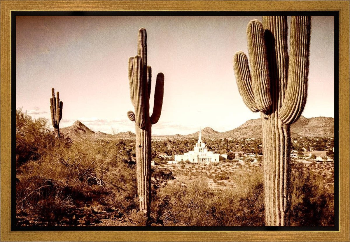 Phoenix Saguaro Cactus Gallery Wrap