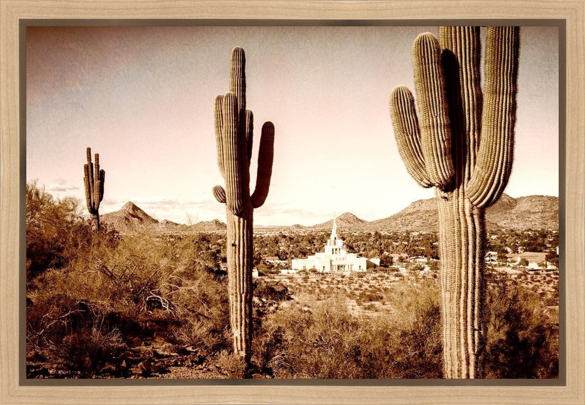 Phoenix Saguaro Cactus Gallery Wrap