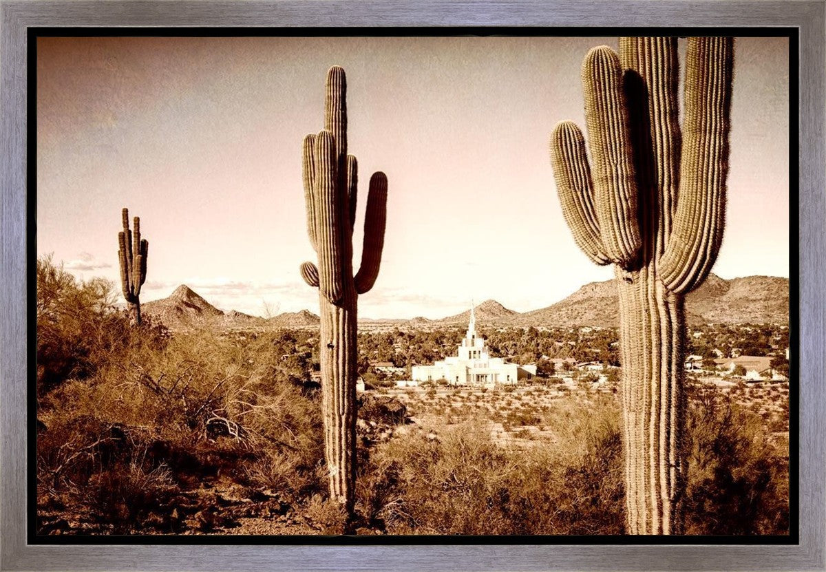 Phoenix Saguaro Cactus Gallery Wrap