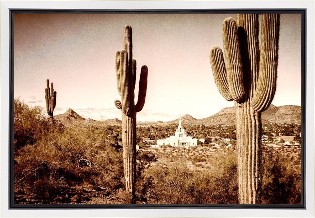 Phoenix Saguaro Cactus Gallery Wrap