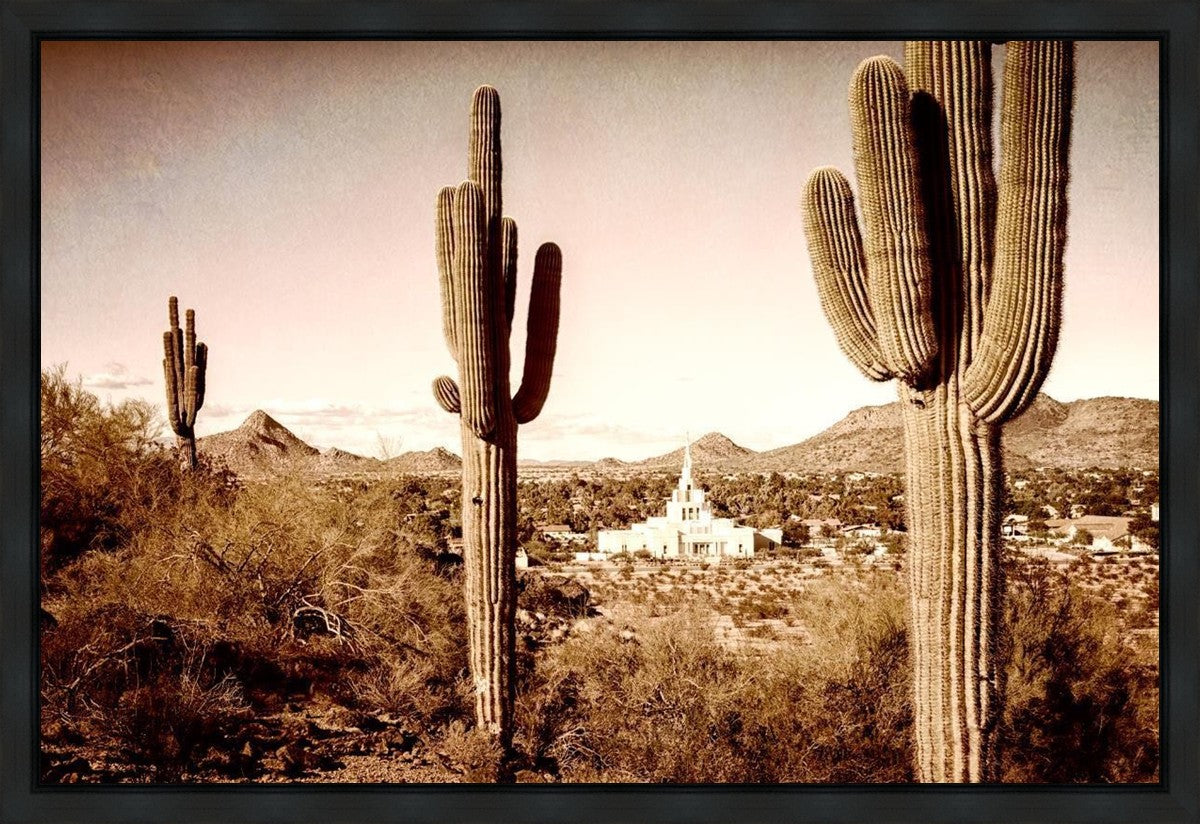 Phoenix Saguaro Cactus Gallery Wrap