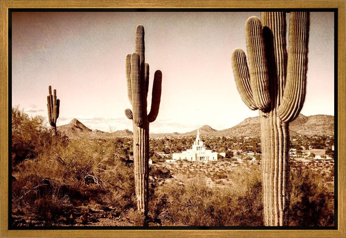 Phoenix Saguaro Cactus Gallery Wrap