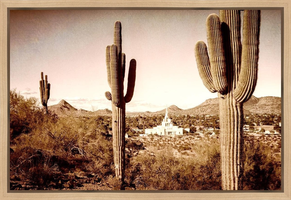 Phoenix Saguaro Cactus Gallery Wrap