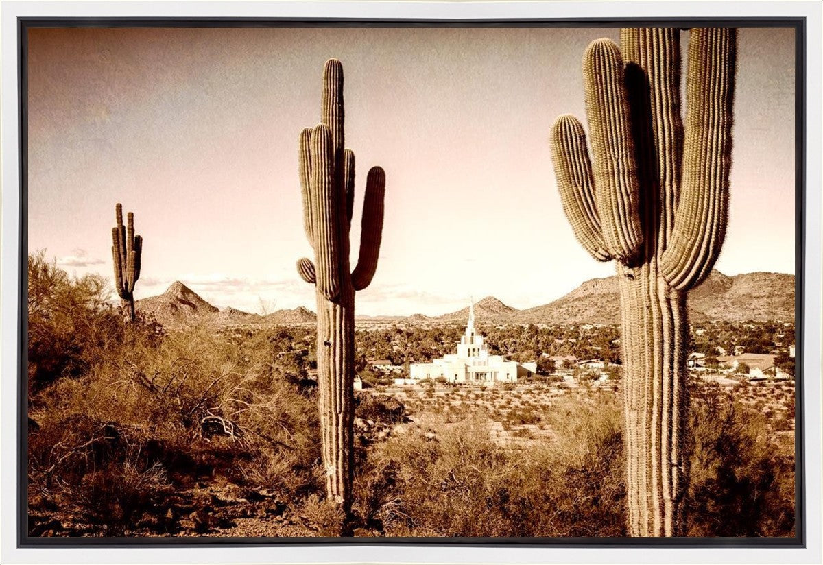 Phoenix Saguaro Cactus Gallery Wrap