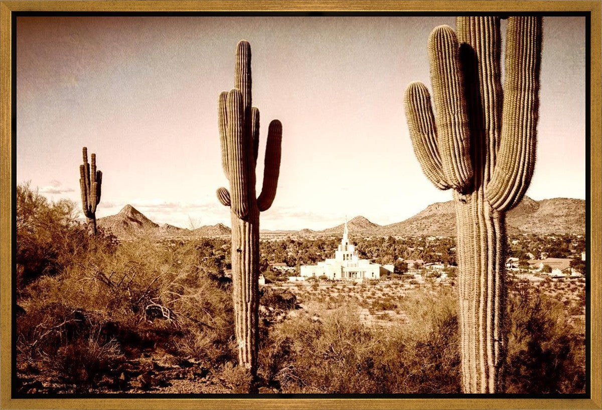 Phoenix Saguaro Cactus Gallery Wrap