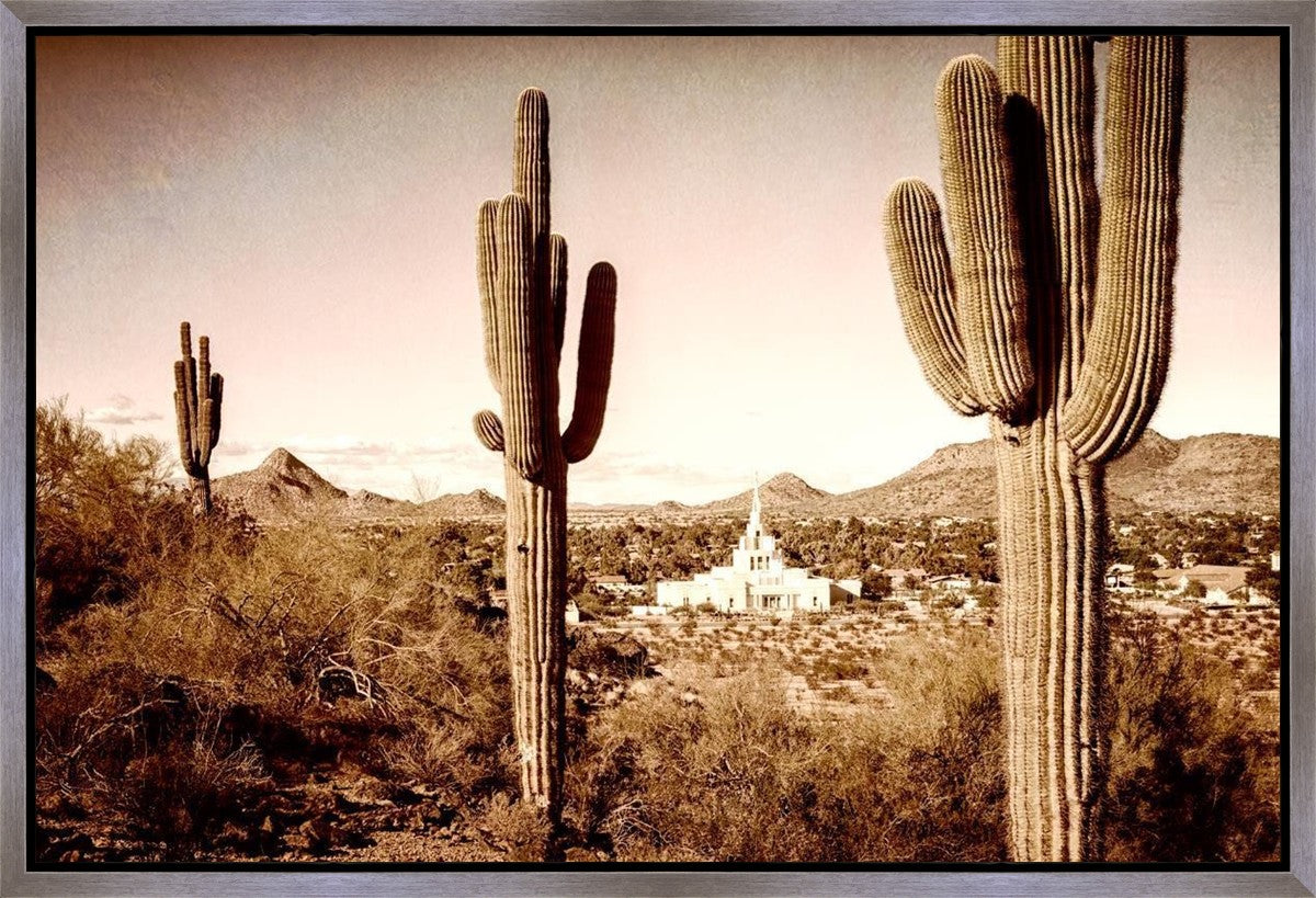 Phoenix Saguaro Cactus Gallery Wrap