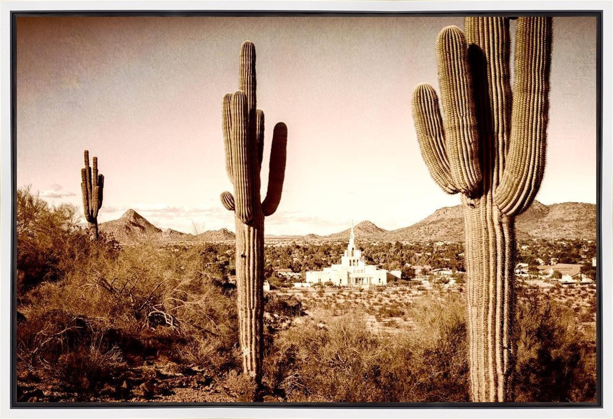 Phoenix Saguaro Cactus Gallery Wrap