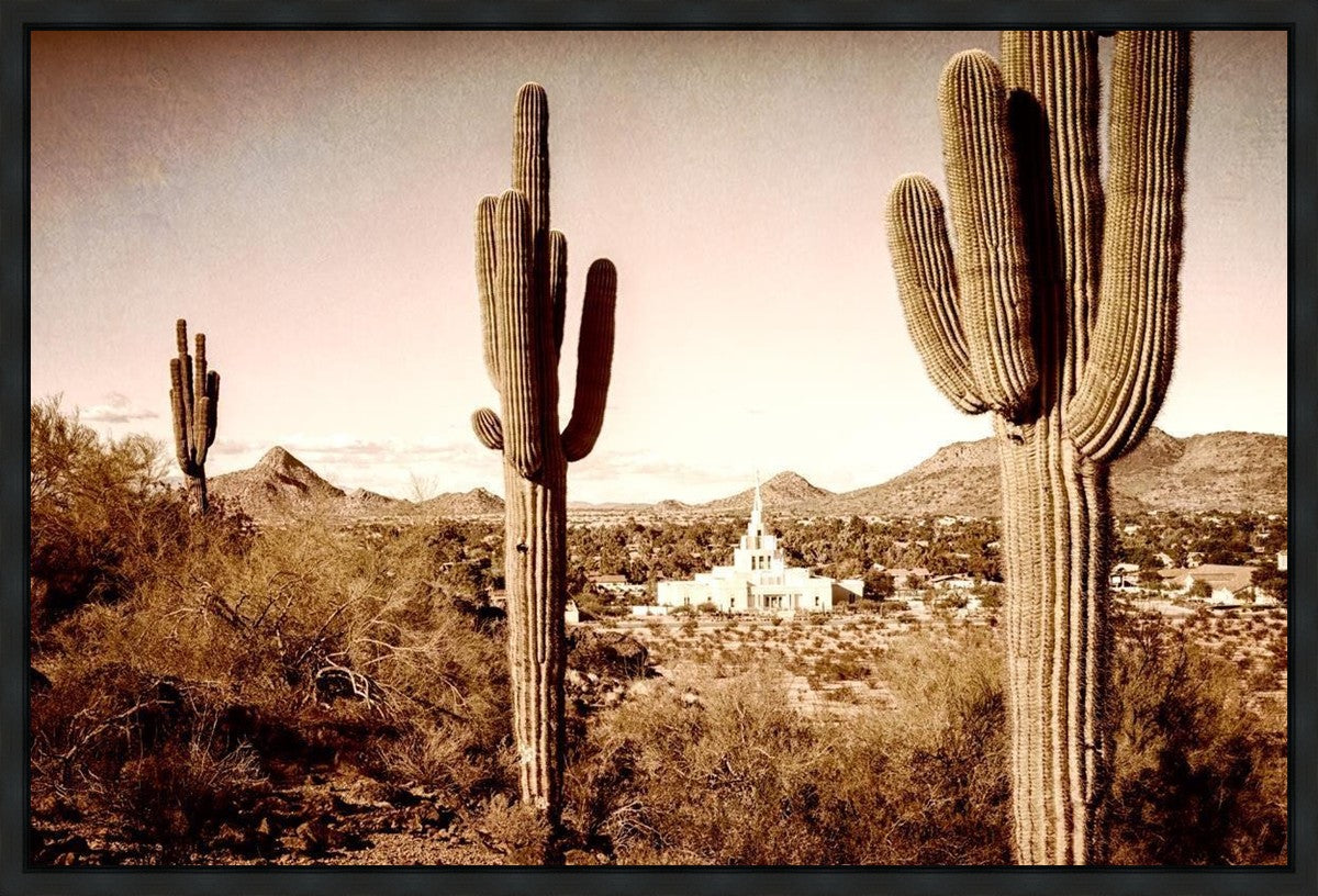Phoenix Saguaro Cactus Gallery Wrap