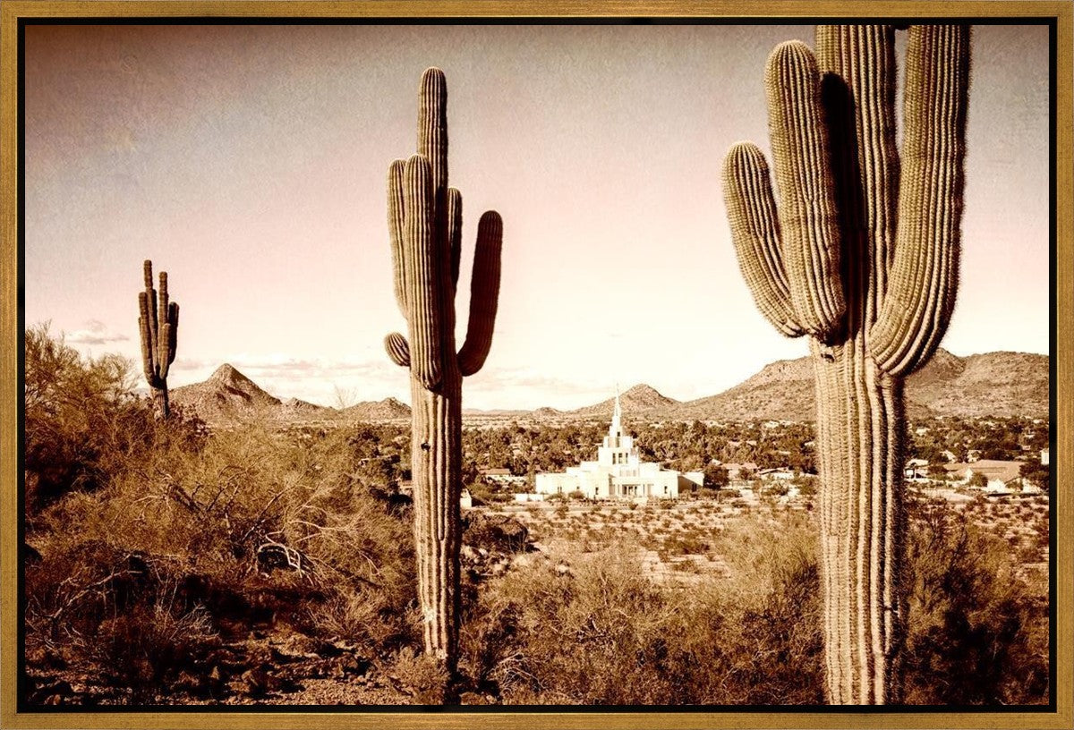 Phoenix Saguaro Cactus Gallery Wrap