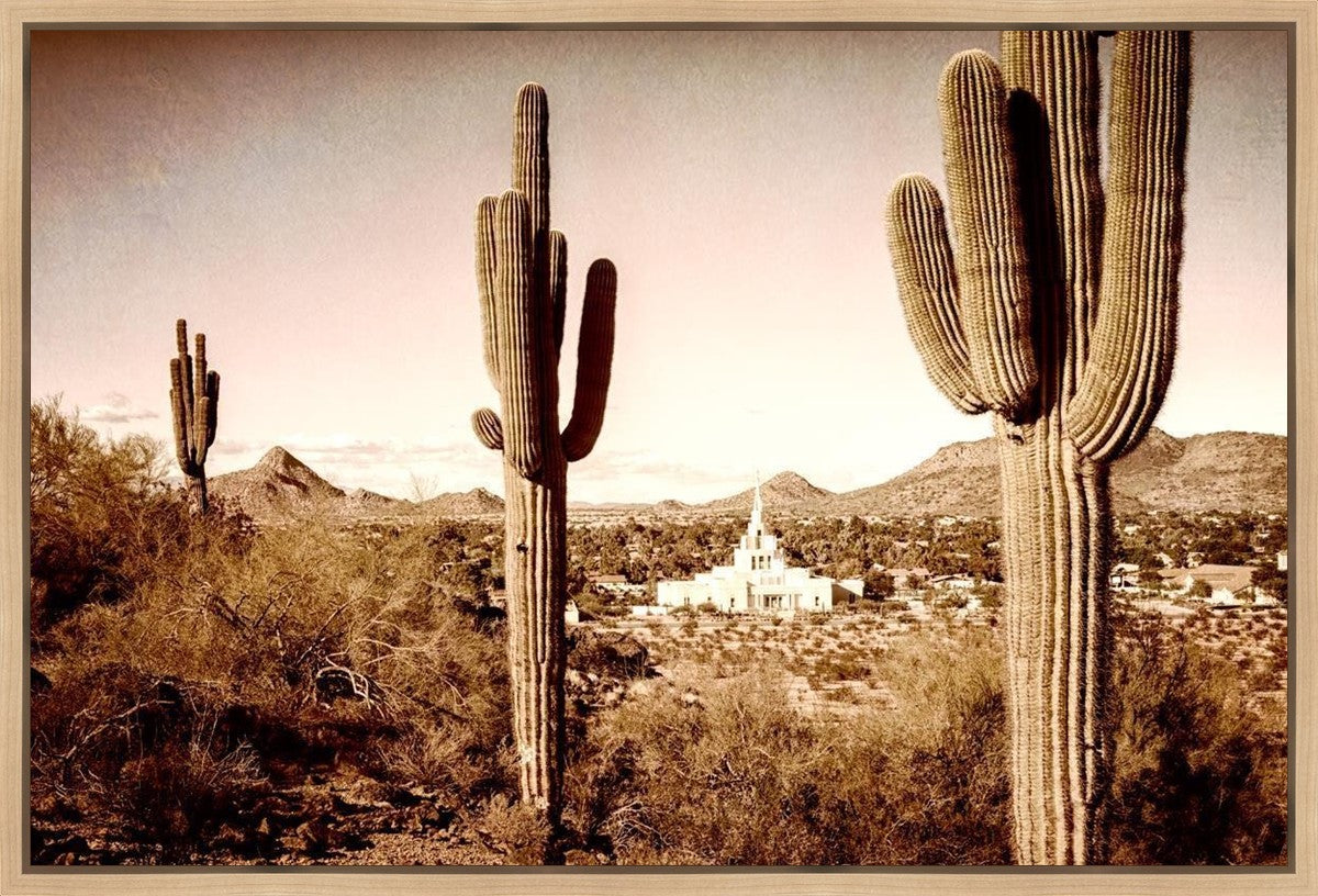 Phoenix Saguaro Cactus Gallery Wrap
