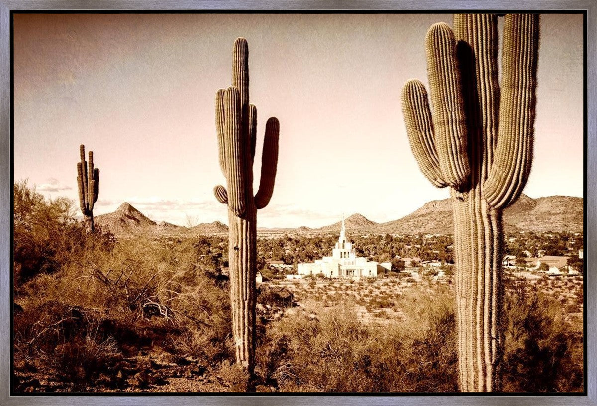 Phoenix Saguaro Cactus Gallery Wrap