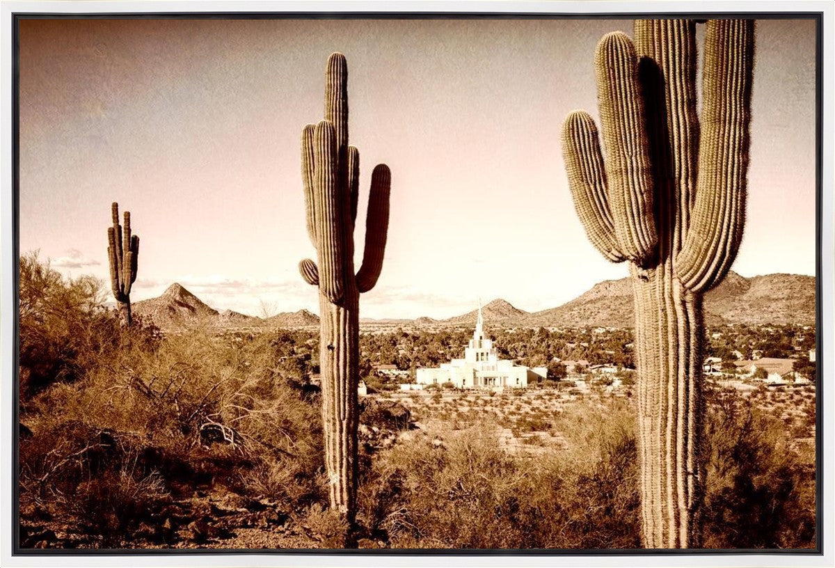 Phoenix Saguaro Cactus Gallery Wrap