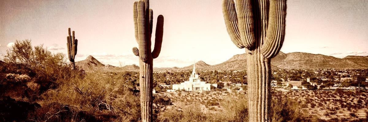 Phoenix Saguaro Cactus Gallery Wrap