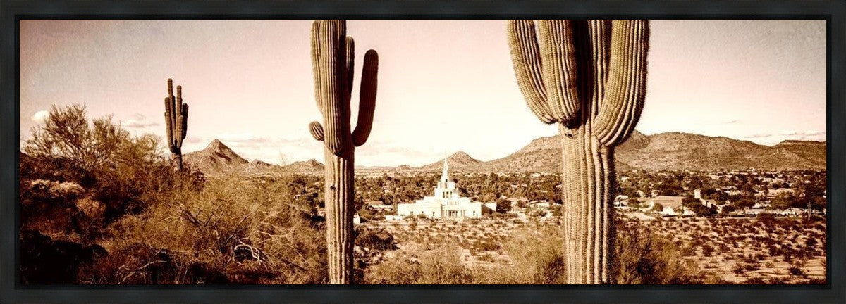 Phoenix Saguaro Cactus Gallery Wrap