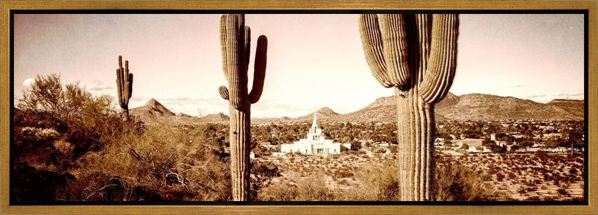 Phoenix Saguaro Cactus Gallery Wrap