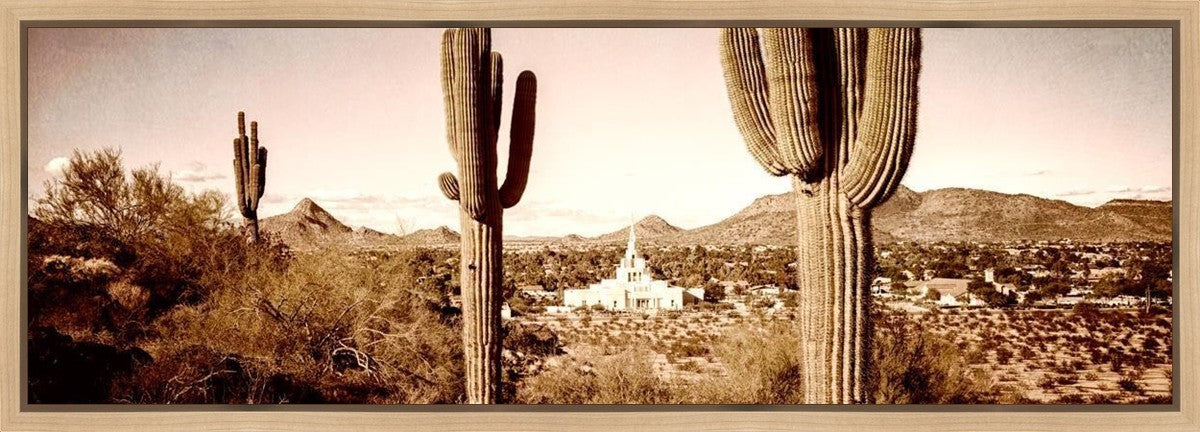 Phoenix Saguaro Cactus Gallery Wrap
