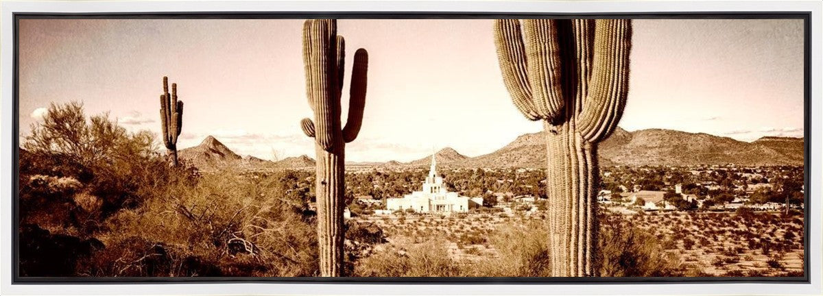 Phoenix Saguaro Cactus Gallery Wrap