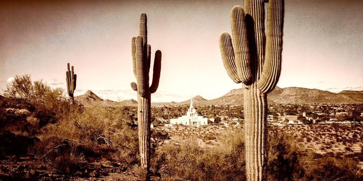 Phoenix Saguaro Cactus Gallery Wrap
