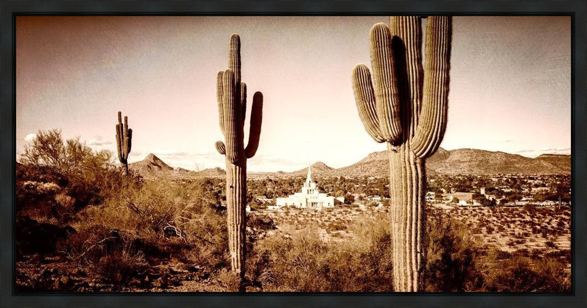 Phoenix Saguaro Cactus Gallery Wrap