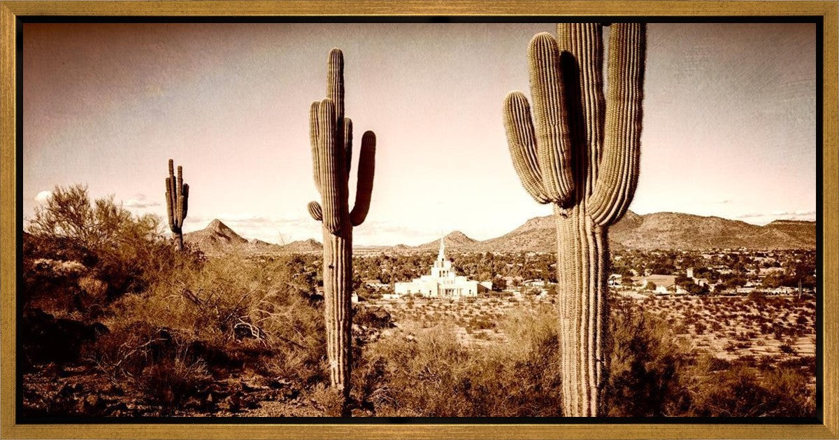 Phoenix Saguaro Cactus Gallery Wrap