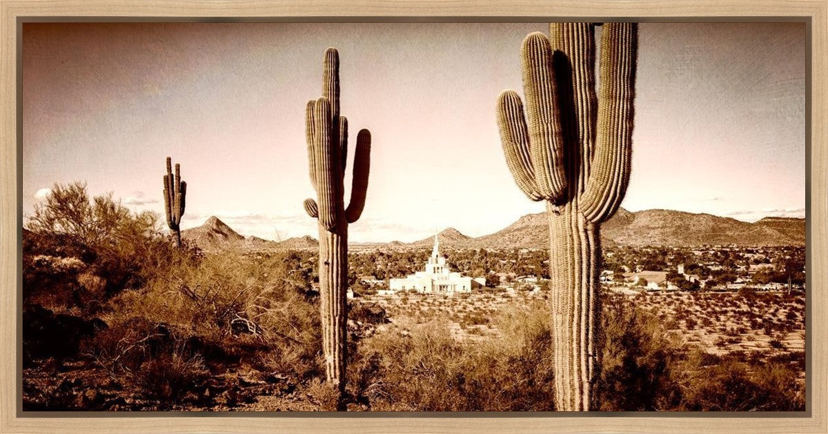 Phoenix Saguaro Cactus Gallery Wrap