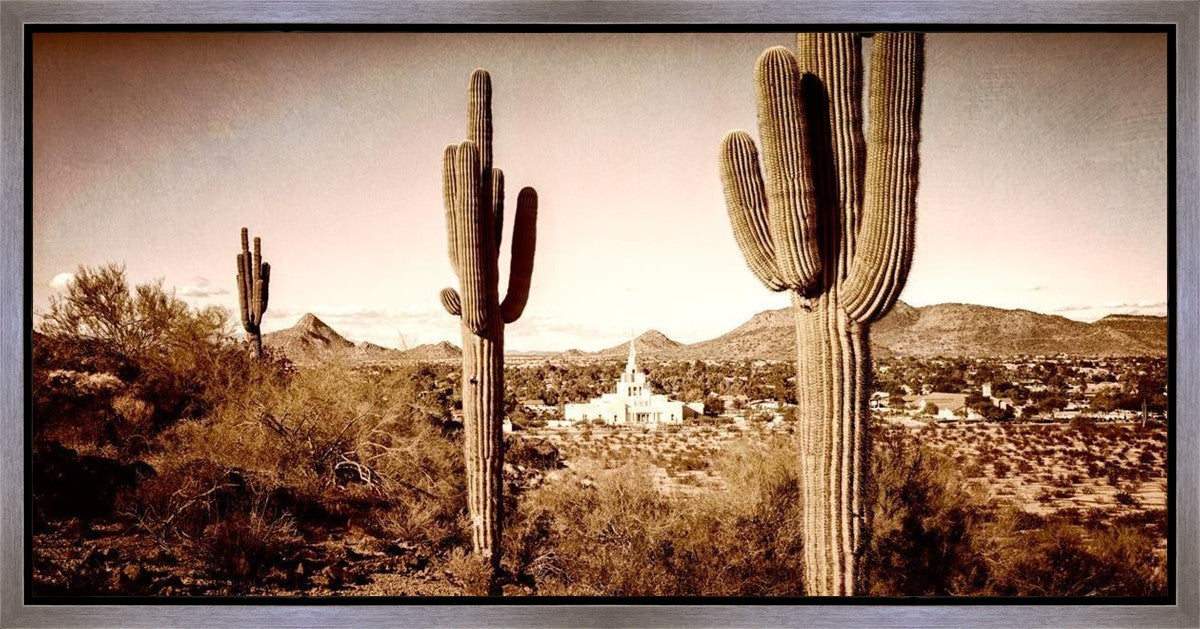 Phoenix Saguaro Cactus Gallery Wrap