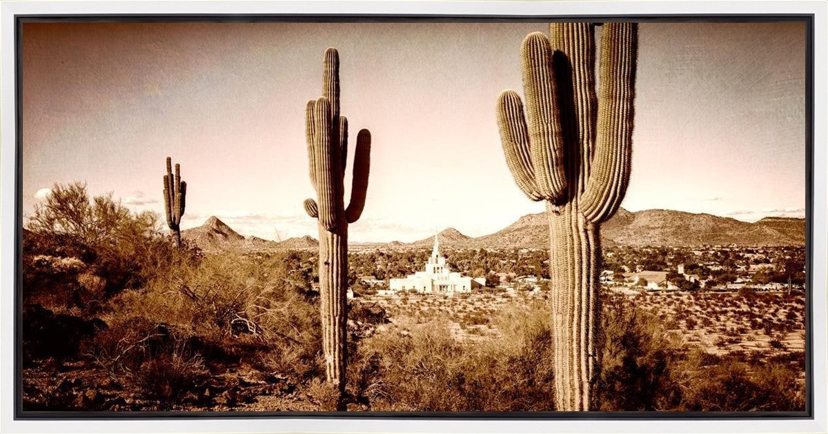 Phoenix Saguaro Cactus Gallery Wrap