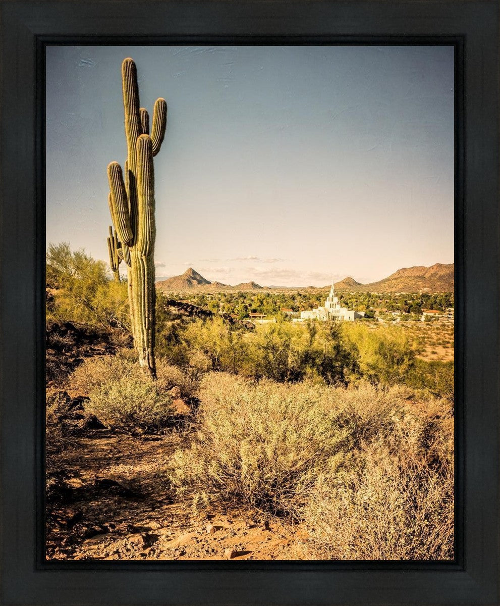 Phoenix Cactus Hill Gallery Wrap