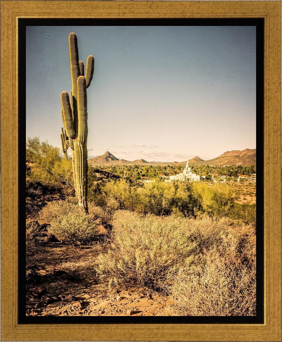 Phoenix Cactus Hill Gallery Wrap