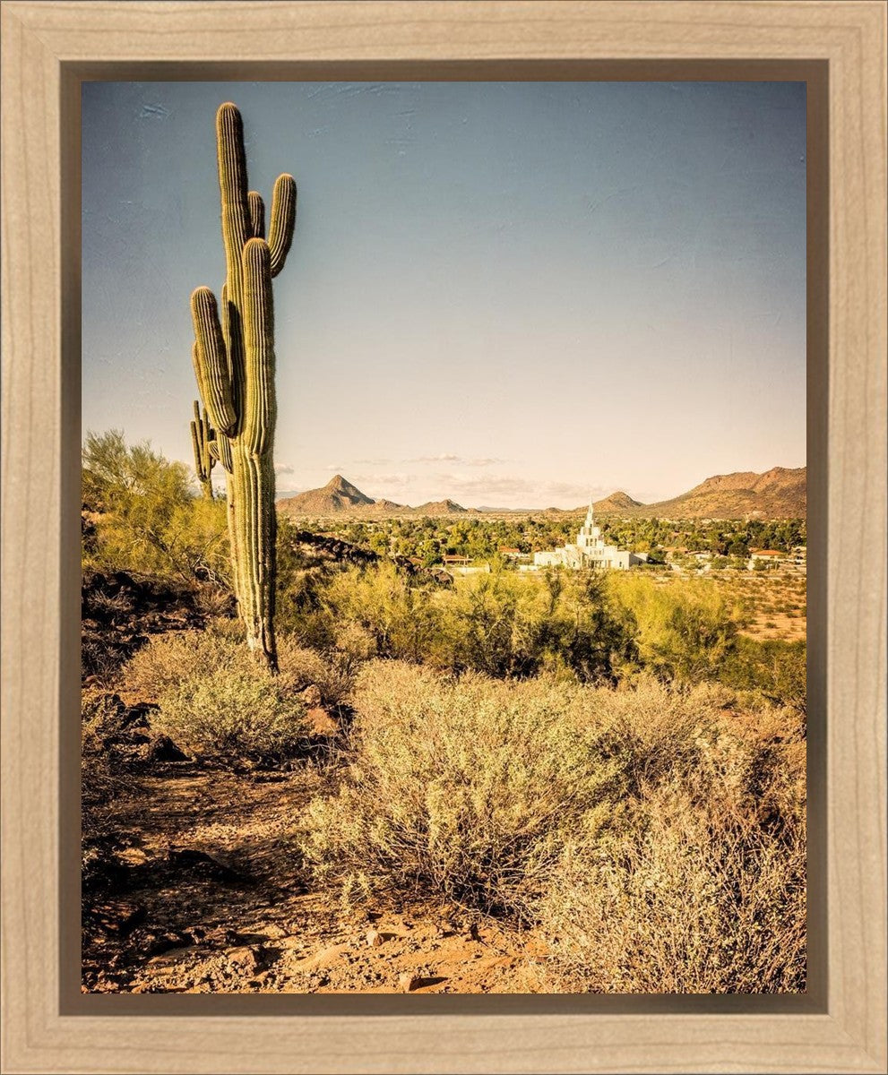 Phoenix Cactus Hill Gallery Wrap