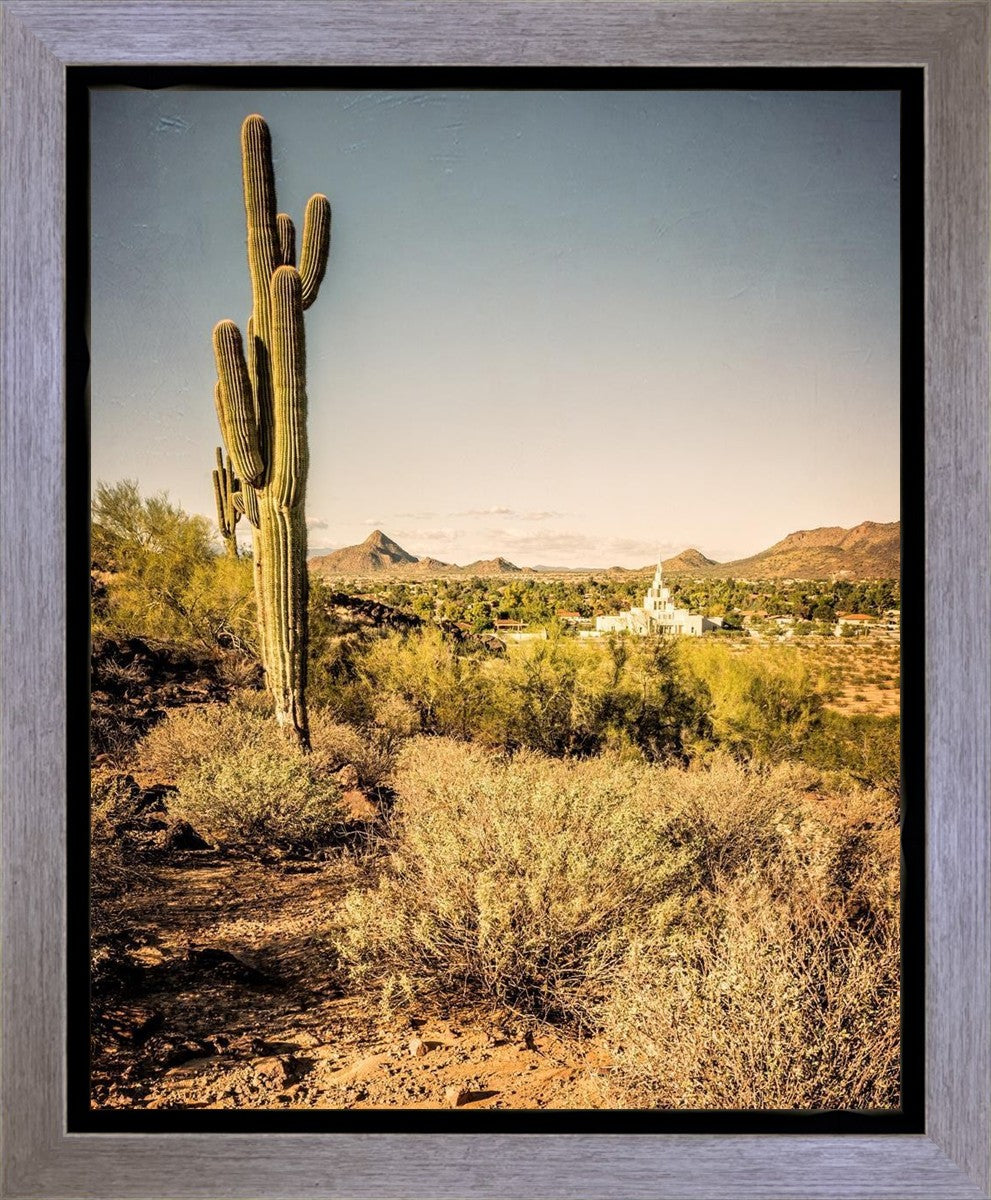Phoenix Cactus Hill Gallery Wrap