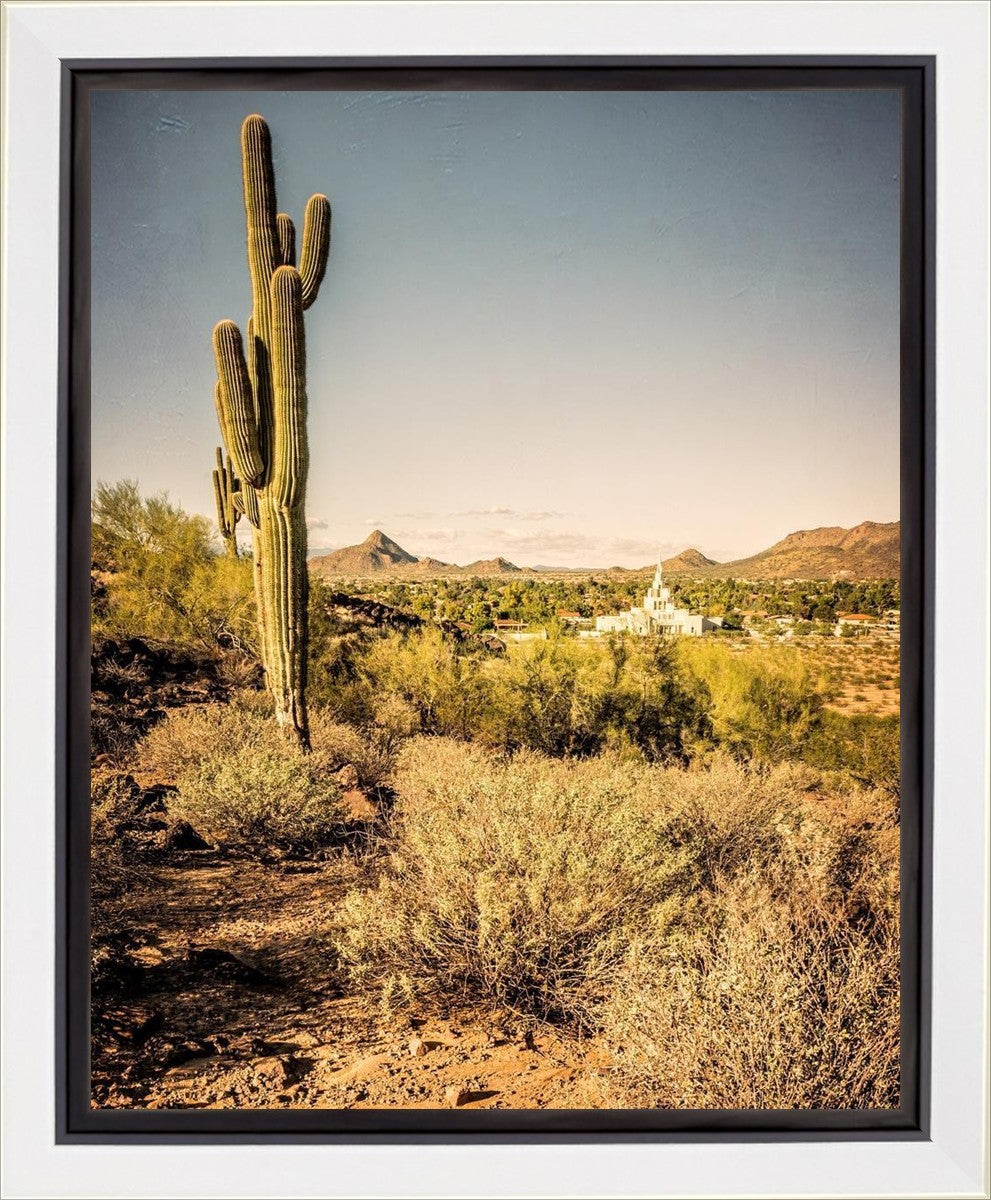 Phoenix Cactus Hill Gallery Wrap