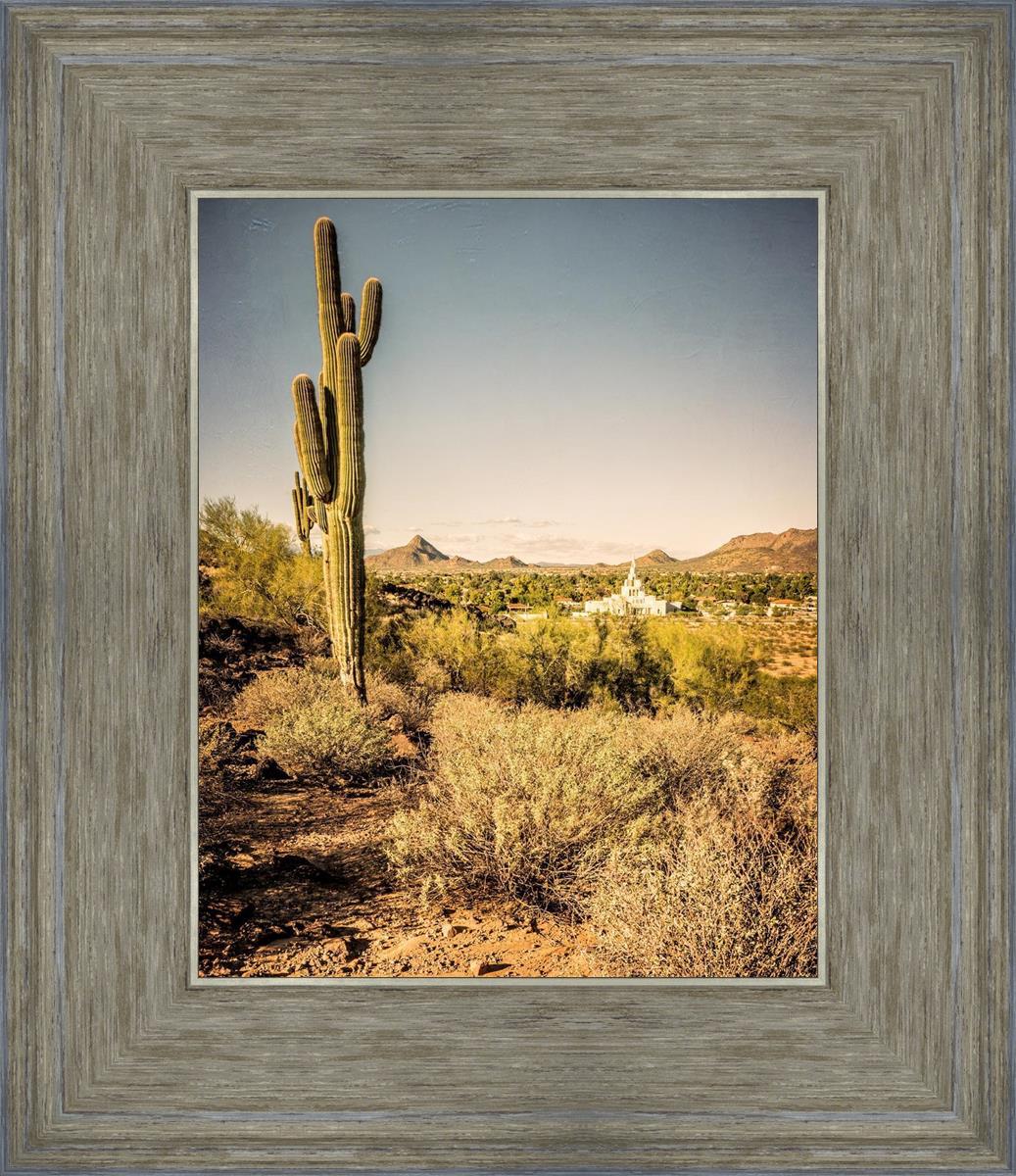 Phoenix Cactus Hill
