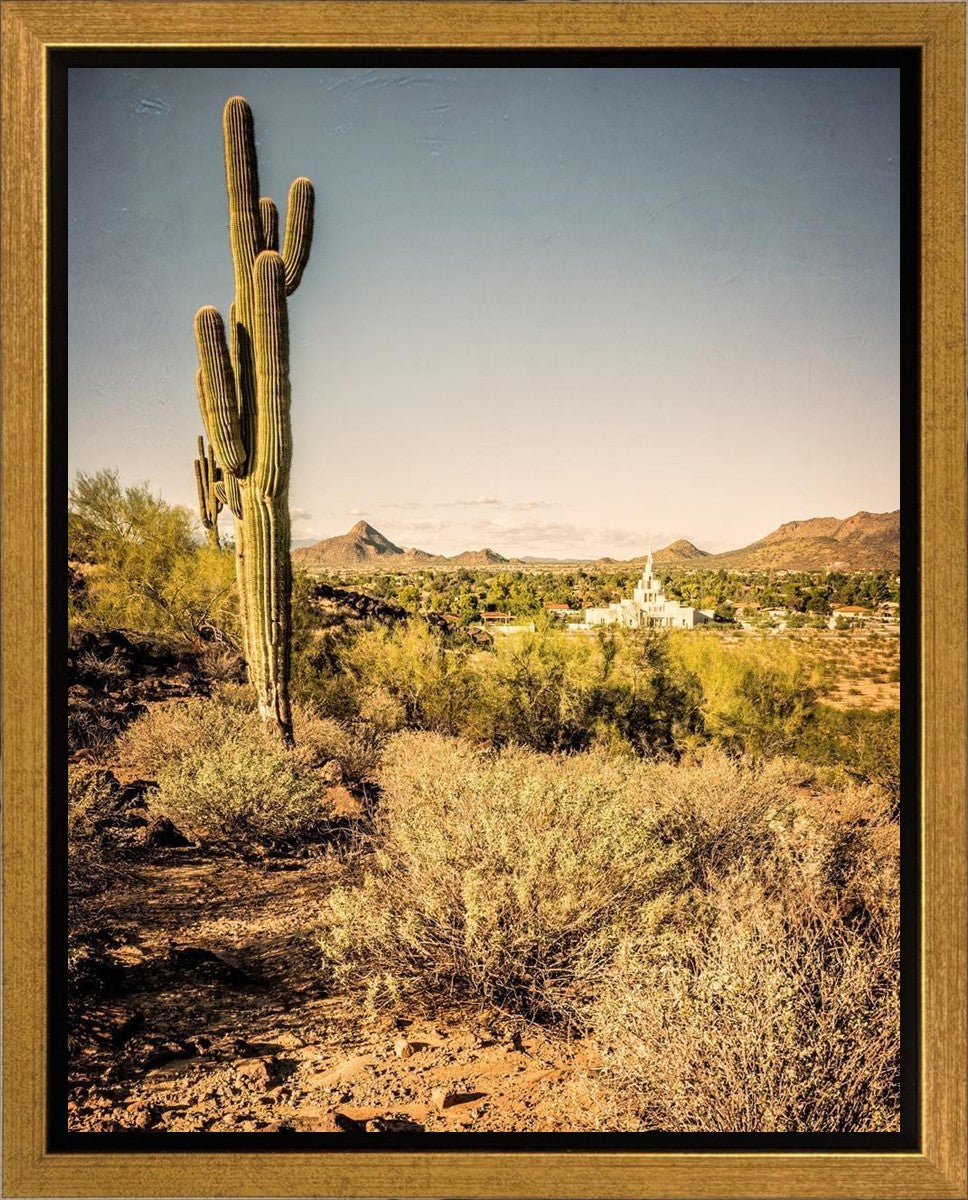 Phoenix Cactus Hill Gallery Wrap
