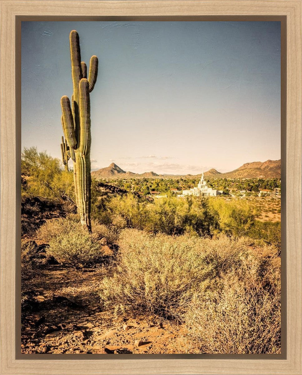 Phoenix Cactus Hill Gallery Wrap