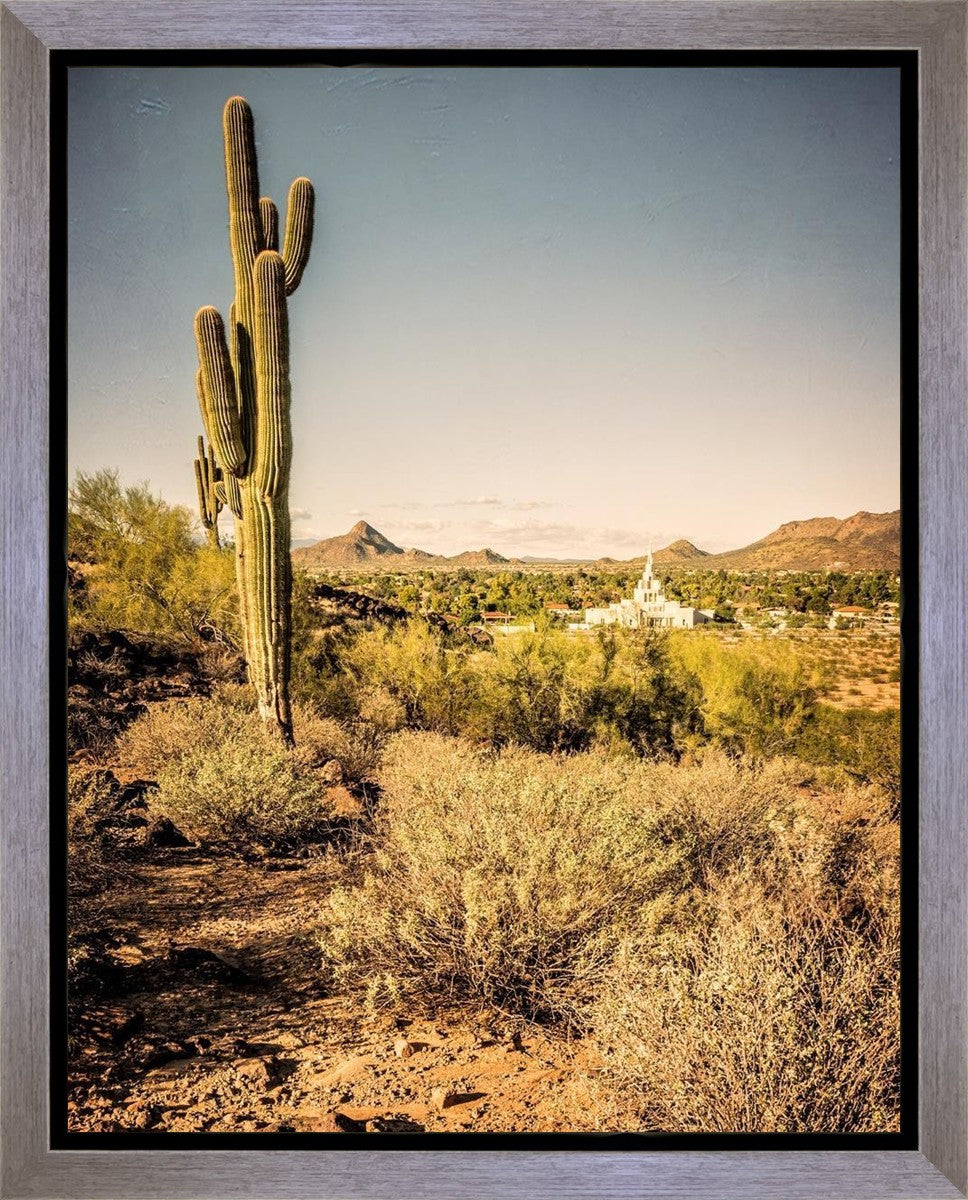 Phoenix Cactus Hill Gallery Wrap
