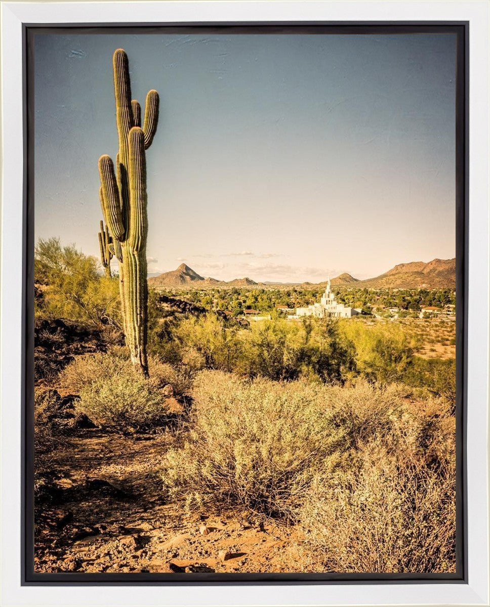 Phoenix Cactus Hill Gallery Wrap