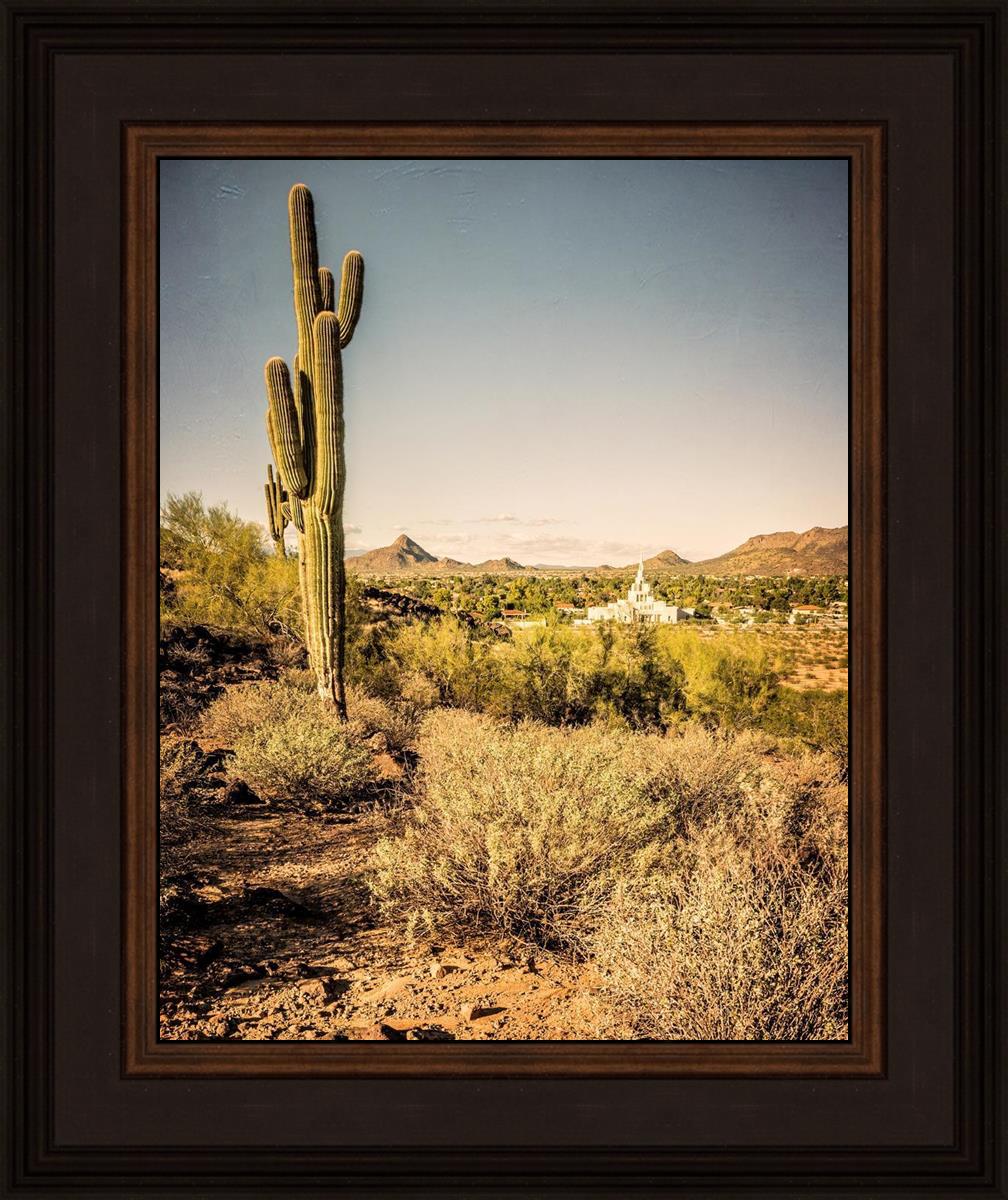 Phoenix Cactus Hill