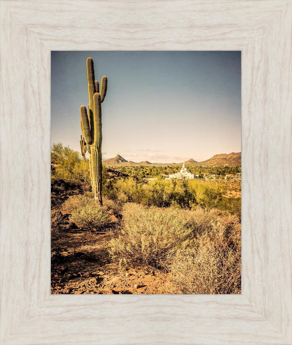 Phoenix Cactus Hill