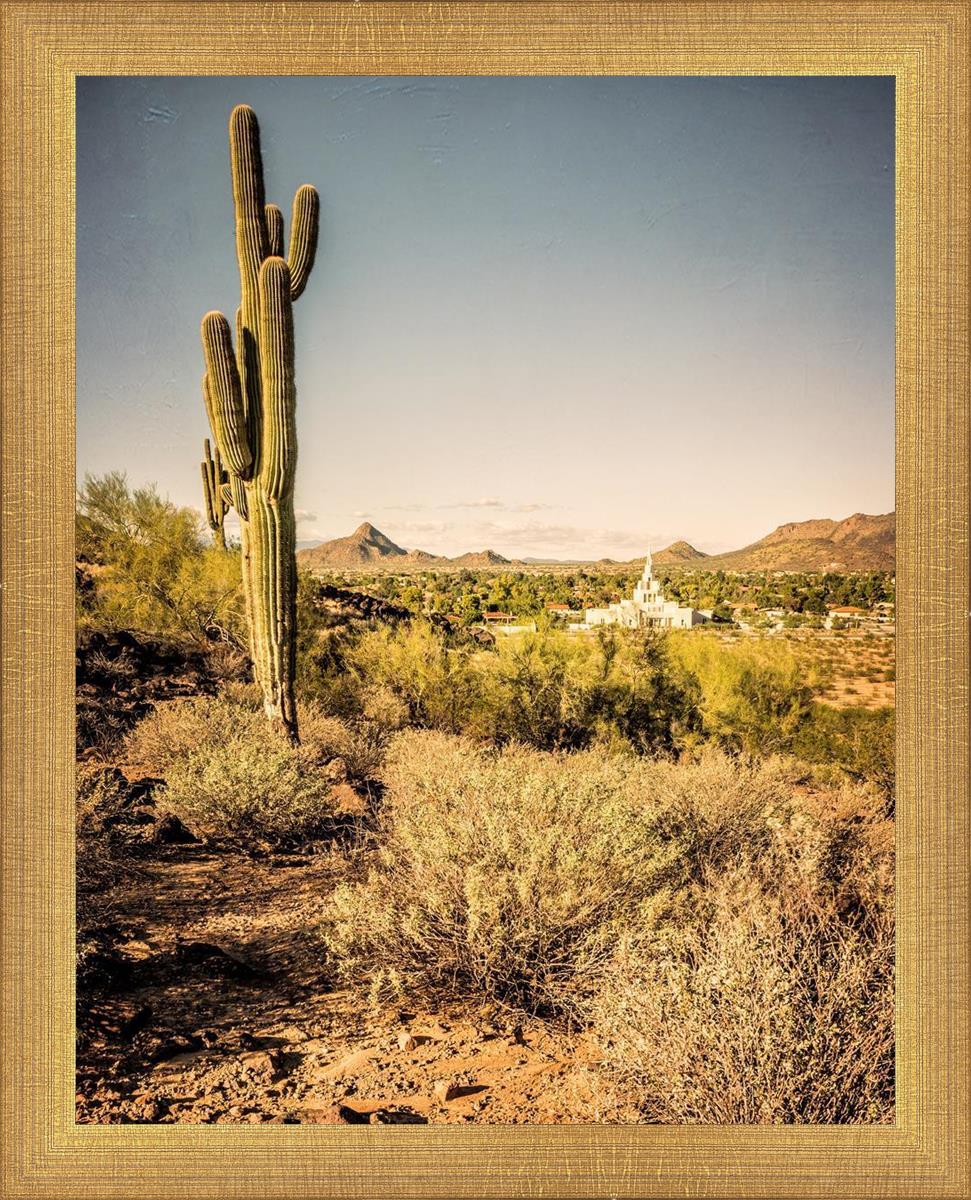 Phoenix Cactus Hill
